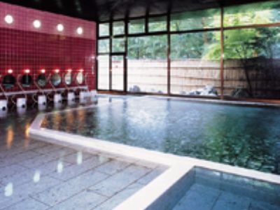 Kinugawa Royal Hotel Никко Экстерьер фото